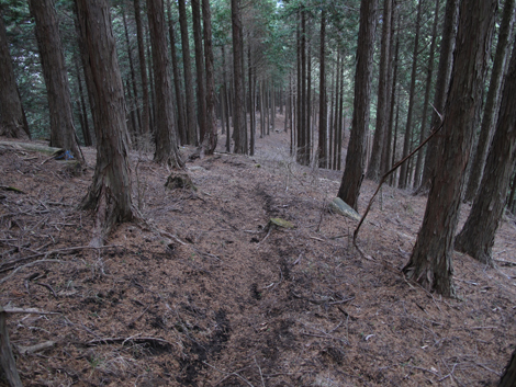 20160121hike (273)